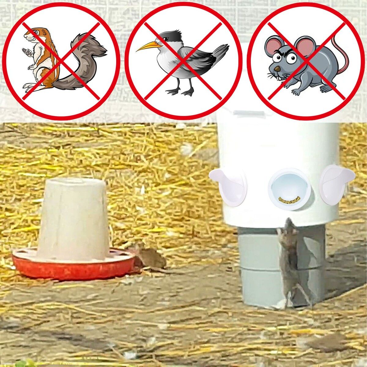 https://img.crazysales.com.au/products_pictures/289/289831_2493315_F.jpg