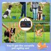 Dog Agility Equipment 7 Set Pet Obstacle Training Course Supplies Jump Puppy Hurdle Cones Weave Poles Carry Bag Water Bottle Bowl