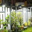 Solar Motion Sensor USB Power Security Umbrella Light,Clip Clamp on Lights Outdoor with 72 LED 4Modes Wireless Waterproof for Patio Wall Garage