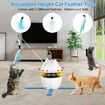 4 in 1 Cat Interactive Toys with Cat Feather