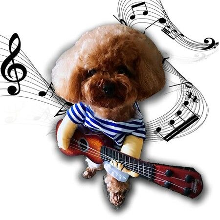 Pet Guitar Costume Dog Costumes Cat Halloween Christmas Cosplay Party Funny Outfit Clothes (Size XL)