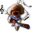 Pet Guitar Costume Dog Costumes Cat Halloween Christmas Cosplay Party Funny Outfit Clothes (Size M)