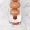 Automatic Scrolling Eggs Rack Holder Storage Box Plastic Eggs Basket Container Dispenser Organizer Closet For Fridge Kitch