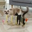 Folded Cat Tunnel, Folded Cat Tunnel Spring, Folded Cat Tunnel Toy, Folded Cat Tunnel for Indoor, Cat Tunnel Tube Pet Collapsible Toy