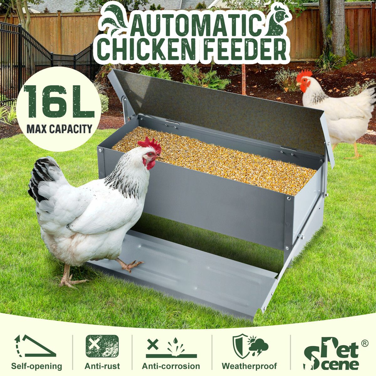 16L Auto Chicken Feeder Poultry Hen Chook Feeding Treadle Food Dispenser Automatic Self Opening Rat Pest Proof Galvanised Steel XL