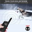 For Dog Powerful Electric Shock Column Electric Shock Collar Dog Vibration Electric Shock 300M Remote Control Training