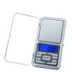 Mini Smart Weigh Portable Pocket Scale Digital Gram Scale Jewelry Scale, 500g×0.1g