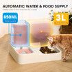 Automatic Dog Feeder Cat Bowl Auto Feeding Water Dispenser 3L Food Gravity Fed Small Medium Large Pets 2 in 1 Petscene