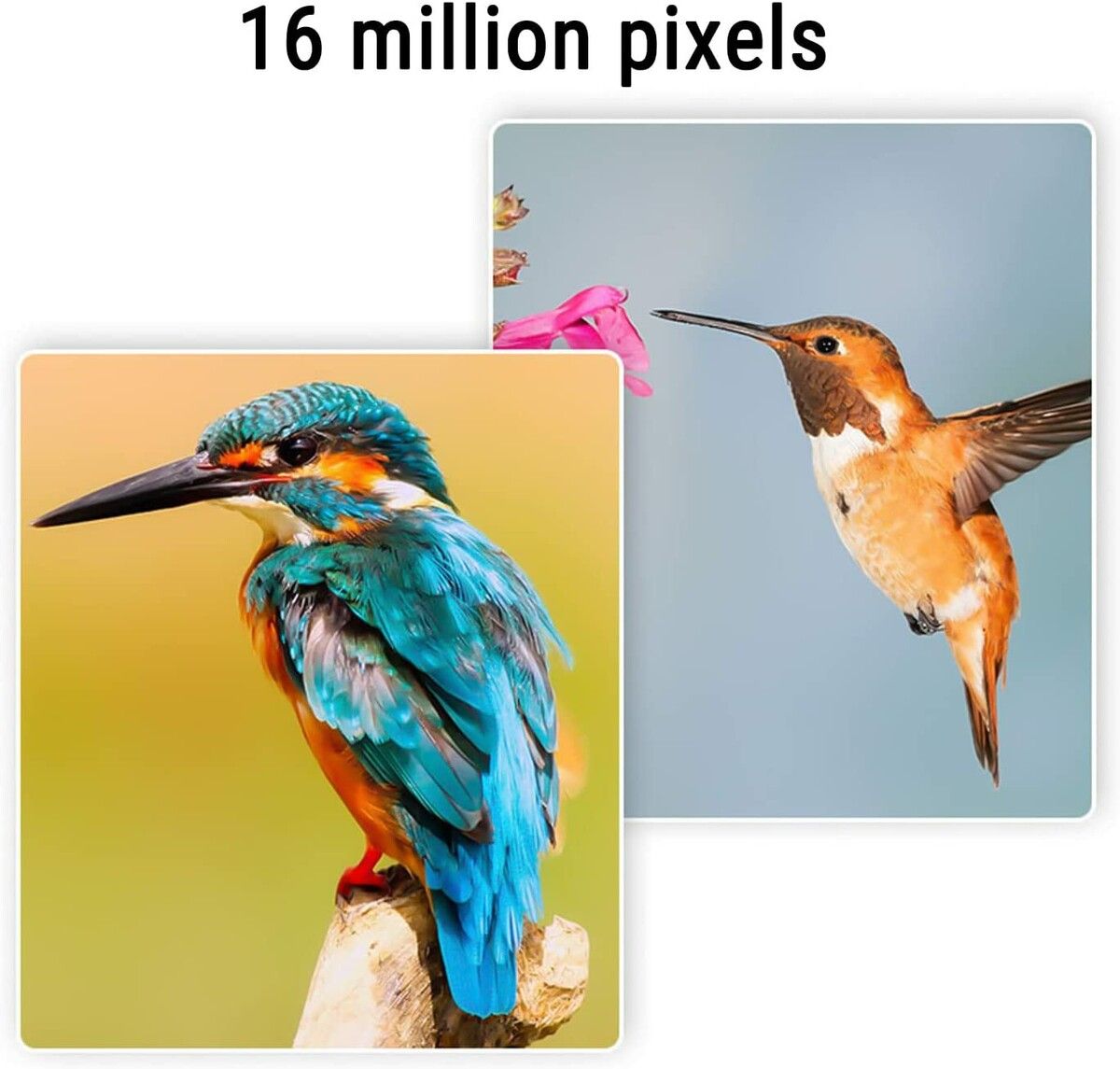 https://img.crazysales.com.au/products_pictures/292/292287_2518833_F.jpg