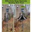 Wide Squirrel Baffle for Bird Feeder Pole,Outside Pole Mount Stopper & Bird House Guard for Outdoor Shepherd's Hook (Black,19 Inch,1 Pack)