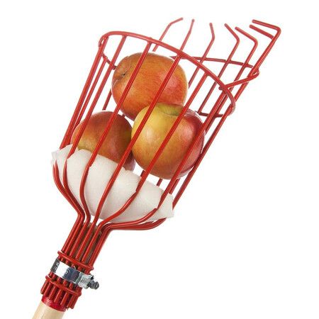 Fruit Harvester Basket with Cushion to Prevent Bruising (Pole Not Included)