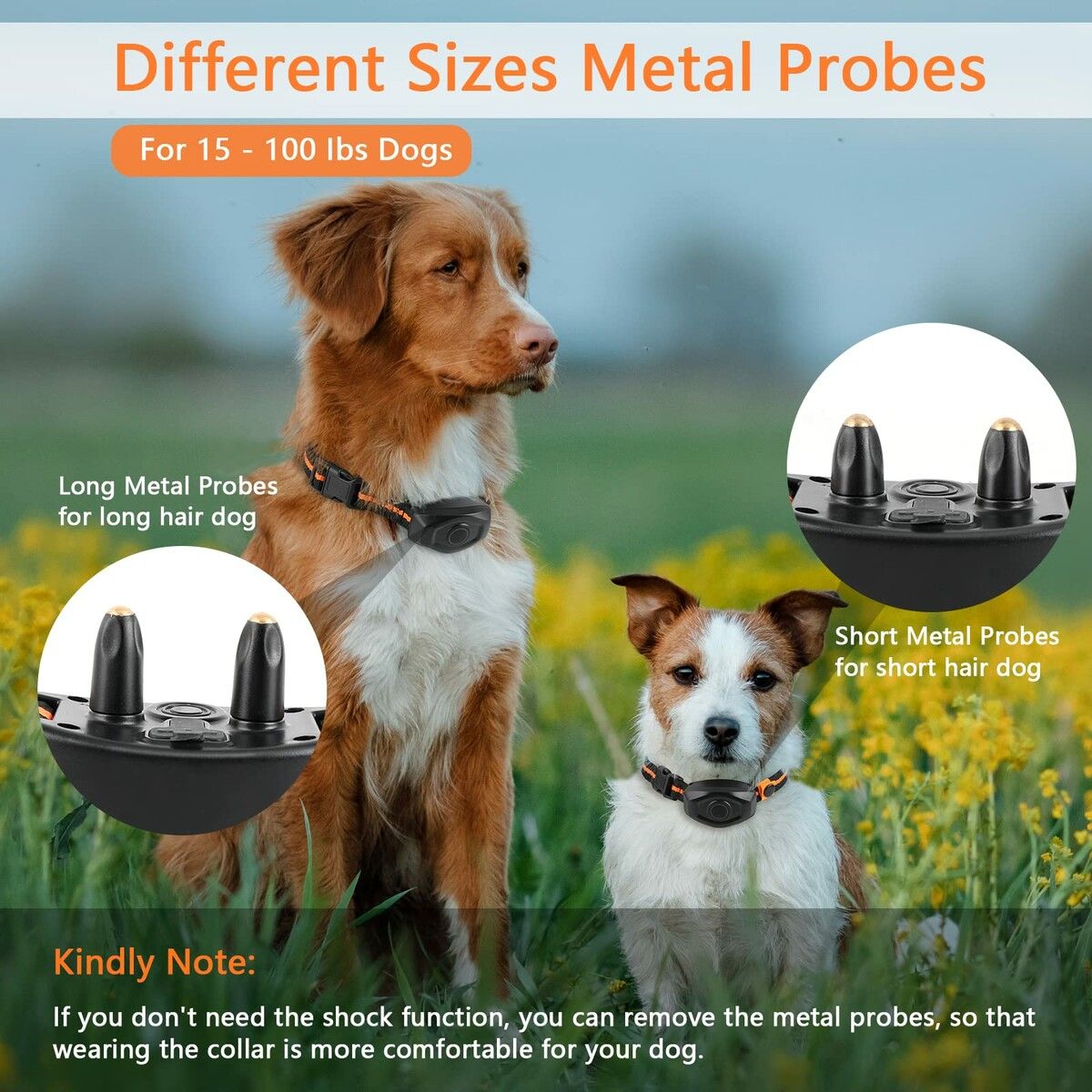 https://img.crazysales.com.au/products_pictures/292/292761_2523479_F.jpg