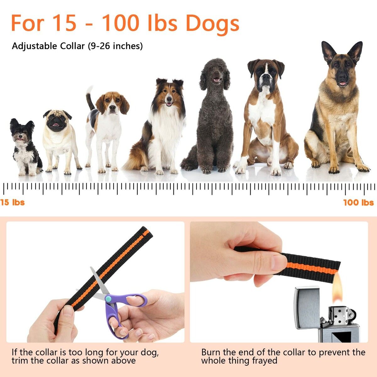 https://img.crazysales.com.au/products_pictures/292/292761_2523487_F.jpg