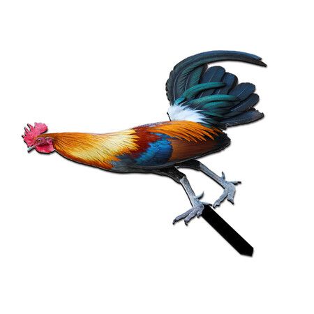 https://img.crazysales.com.au/products_pictures/293/293063_2526025_F.jpg