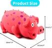 Squeaky Pig Dog Toys, Grunting Pig Dog Toy That Oinks Grunts for Small Medium Large Dogs 1Pack Yellow