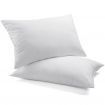 Starry Eucalypt Pillow Microfibre Cushion Twin Pack Soft Bed Hotel Home Set 70x40CM