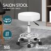 ALFORDSON Salon Stool Round Swivel Barber Hair Dress Chair Gas Lift White