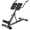 BLACK LORD Weight Bench Roman Chair Back Hyperextension AB Workout Fitness