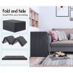 S.E. Folding Mattress Foldable Sofa Lounge Chair Foam Portable Camping Mat