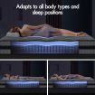 STARRY EUCALYPT Mattress Pocket Spring Double Size 3D Mesh Fabric 26cm 7 zone