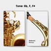 Melodic Saxophone Sax Eb Be Alto E Flat Brass w/ Mouthpiece for Student Beginner