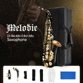 Melodic Eb Be E-flat Alto Saxophone Alto Sax for Beginner Student