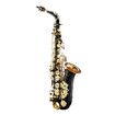 Melodic Eb Be E-flat Alto Saxophone Alto Sax for Beginner Student