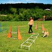 Dog Agility Training Equipment 5 Set Pet Obstacle Course Sports Exercise Kit Ladder Weave Poles Jump Bar Hurdle Ring Hoop Carry Bag