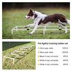 Dog Agility Training Equipment 5 Set Pet Obstacle Course Sports Exercise Kit Ladder Weave Poles Jump Bar Hurdle Ring Hoop Carry Bag