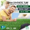 Otanic Artificial Grass 17mm 1x10m Synthetic Turf 10 SQM Roll Fake Yarn Lawn