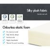 STARRY EUCALYPT Folding Mattress Foldable Sofa Lounge Foam Chair Portable Single