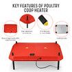 Chick Brooder Heating Plate Warmer Chicken Coop Brooding Heater Poultry Duckling Chook 40x60cm 40-50 Chicks Adjustable Height