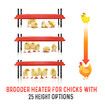 Chick Brooder Heating Plate Warmer Chicken Coop Brooding Heater Poultry Duckling Chook 40x60cm 40-50 Chicks Adjustable Height