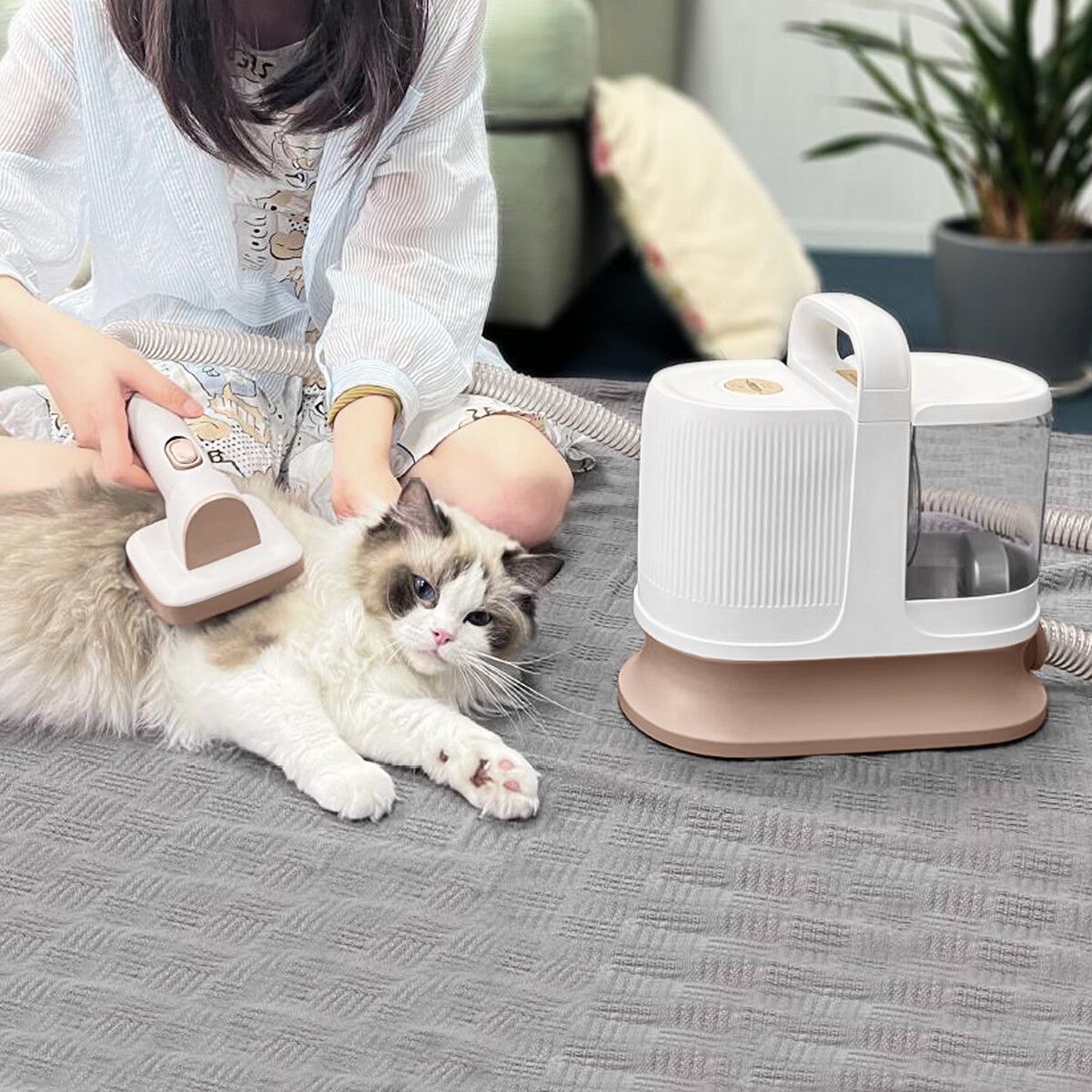 https://img.crazysales.com.au/products_pictures/295/295485_2546601_F.jpg