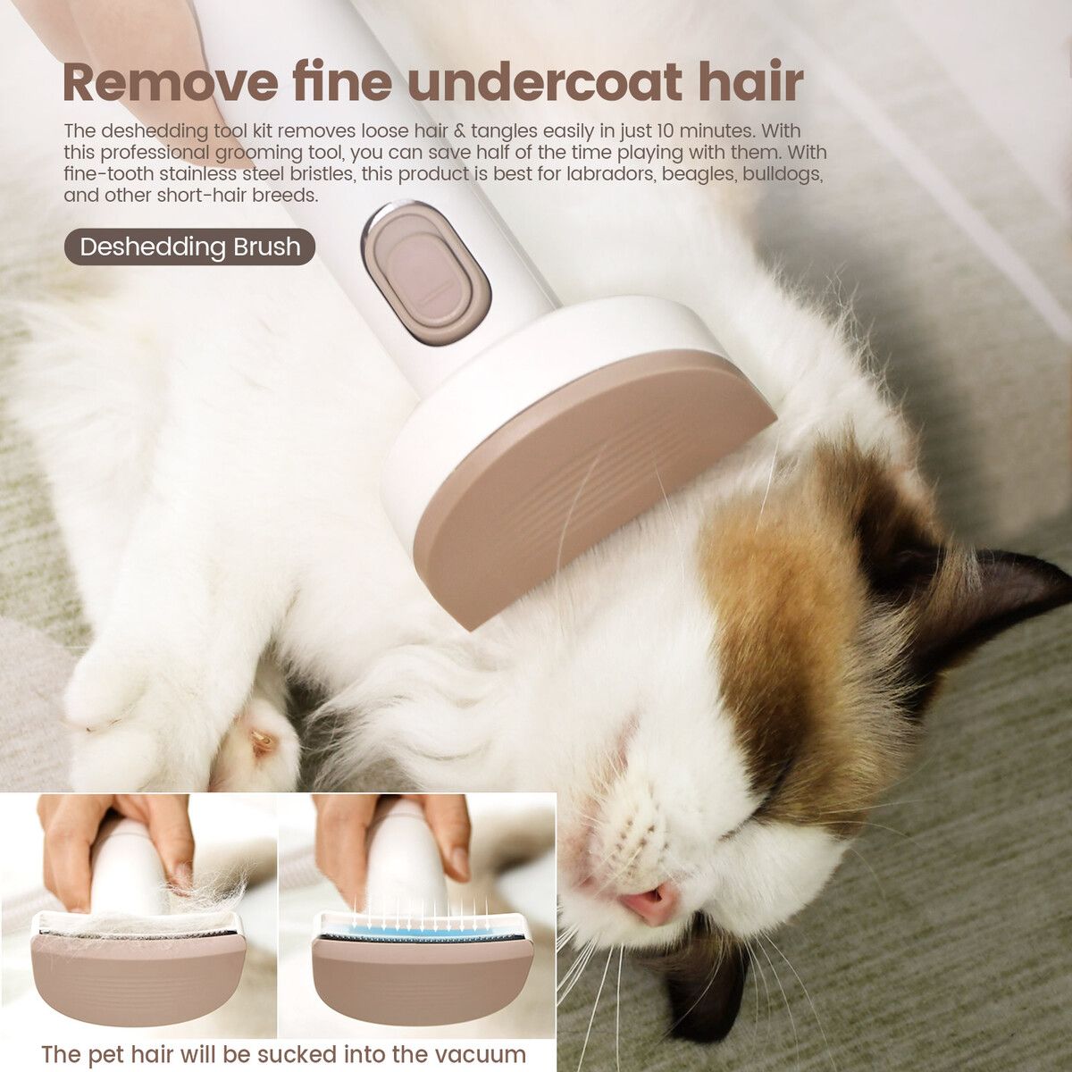 https://img.crazysales.com.au/products_pictures/295/295485_2546605_F.jpg