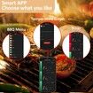 Wireless Meat Thermometer,Smart Bluetooth Meat Thermometer with 165ft Wireless Range,Food Thermometer for Grill,Oven, BBQ,Kitchen,Smoker,Air Fryer,Rotisserie (1 Probe)