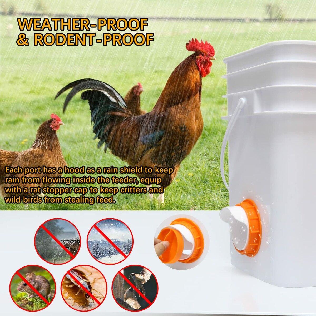 https://img.crazysales.com.au/products_pictures/295/295613_2548295_F.jpg