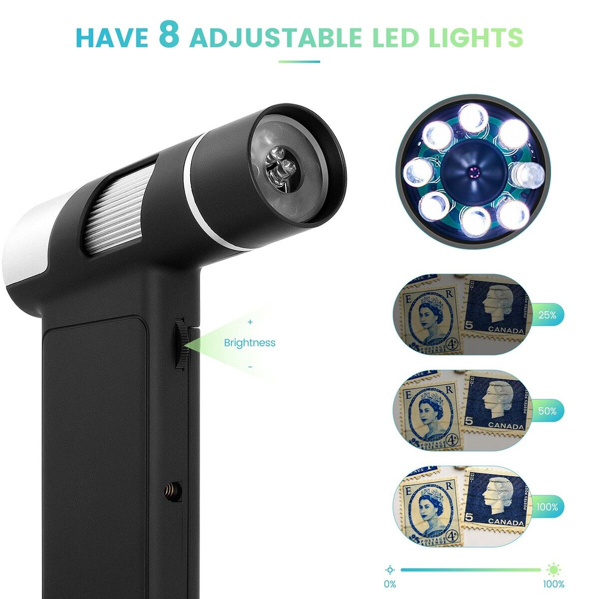 https://img.crazysales.com.au/products_pictures/295/295693_2549319_F.jpg