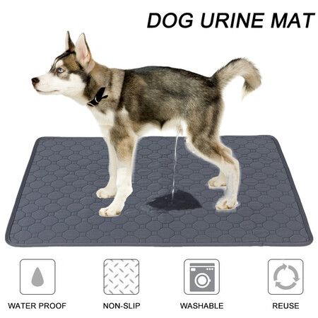 Dog Pee Pad Blanket Reusable Absorbent Diaper Washable Puppy Training Pad Pet Bed Urine Mat for Pet Car Seat Cover Size 60*45cm