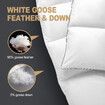 Queen Size Duvet Quilt Goose Feather Down Bed Bedding Winter Comforter Breathable 500GSM Lightweight Cotton Cover White 210x210cm