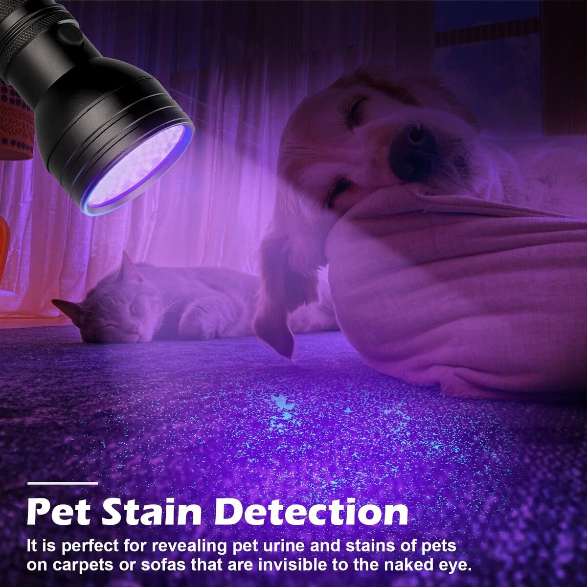 https://img.crazysales.com.au/products_pictures/295/295963_2553409_F.jpg