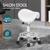 ALFORDSON Salon Stool Saddle Swivel Barber Hair Dress Chair Sierra White