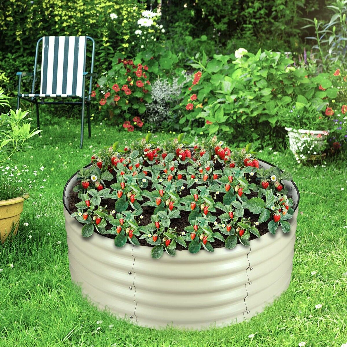 https://img.crazysales.com.au/products_pictures/296/296457_2559397_F.jpg