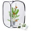 Insect and Butterfly Habitat Cage Terrarium Pop-up (Black,23.6 Inches Tall)