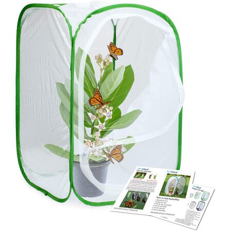 Insect and Butterfly Habitat Cage Terrarium Pop-up (Green,23.6 Inches Tall)