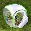 Insect and Butterfly Habitat Cage Terrarium Pop-up (Green,12 X 12 X 12 Inches)