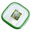 Insect and Butterfly Habitat Cage Terrarium Pop-up (Green,12 X 12 X 12 Inches)