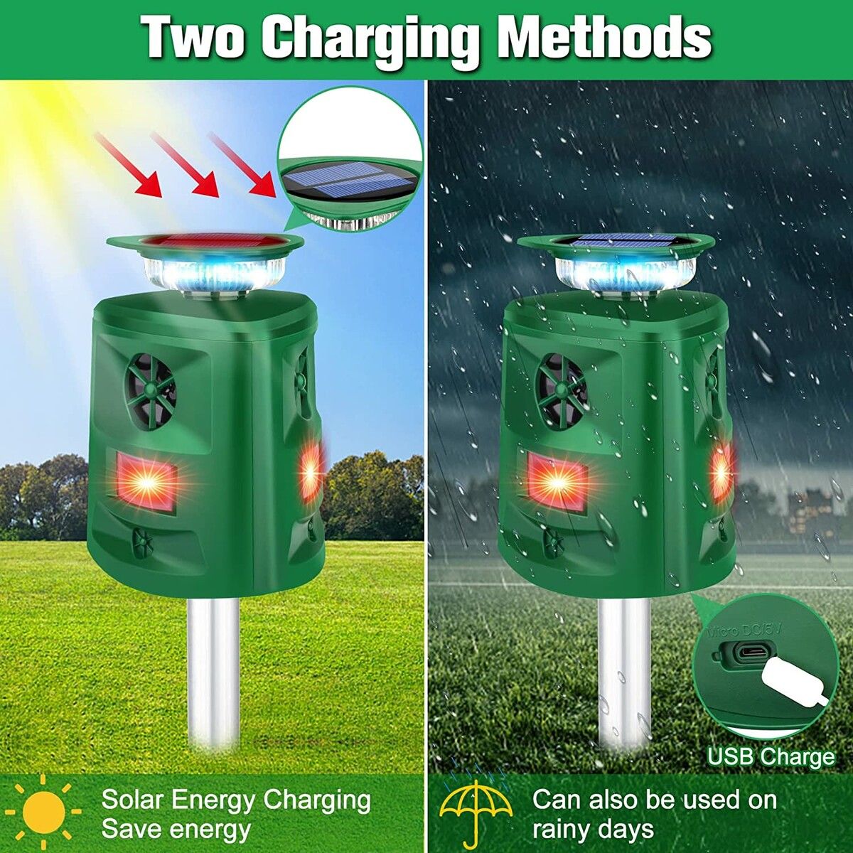 https://img.crazysales.com.au/products_pictures/296/296781_2562973_F.jpg