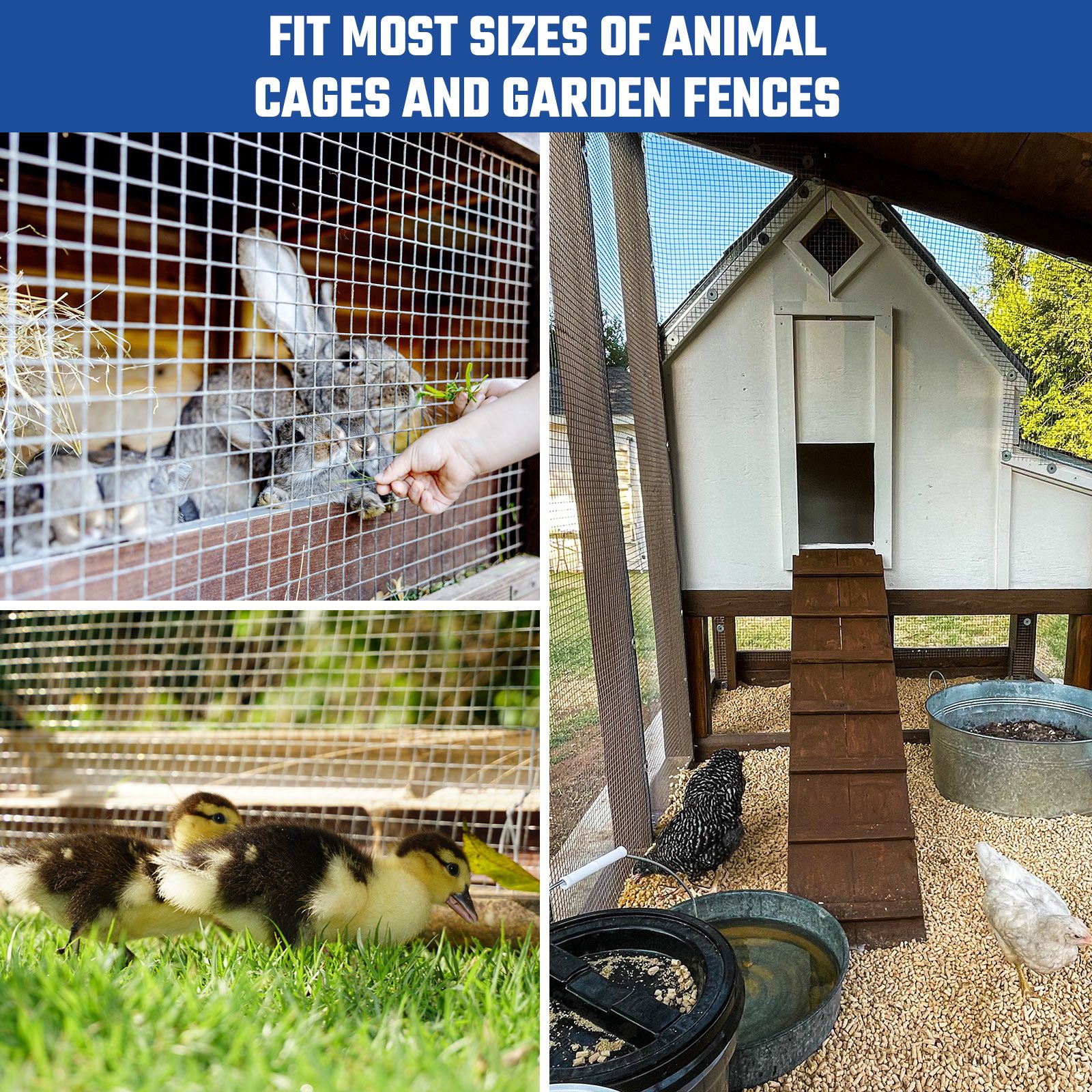 Hardware Cloth Galvanised Welded Wire Mesh Fence Roll Chicken Coop