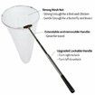 Insect and Butterfly Net with 12" Ring,24" Net Depth,Handle Extends to 59 Inches for Adults and Kids (12" Ring,59" Handle)